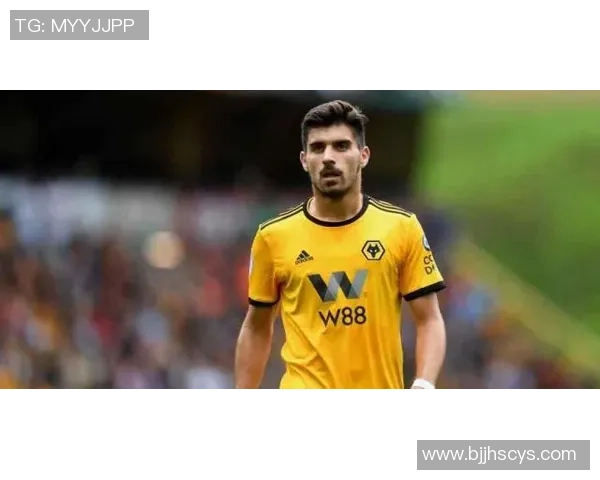 武汉网球队实力强劲荣登全国网球实力排行榜第七位